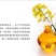 菜油一级