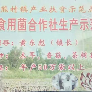 黑木耳特级