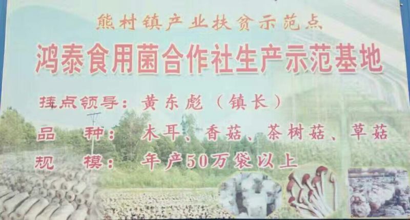 黑木耳特级