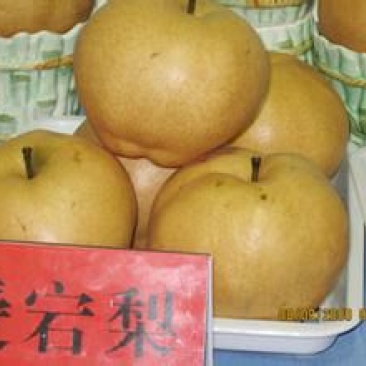 爱宕梨