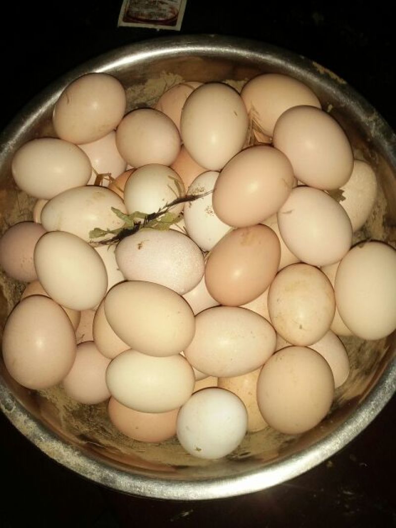 土鸡蛋食用50g以下