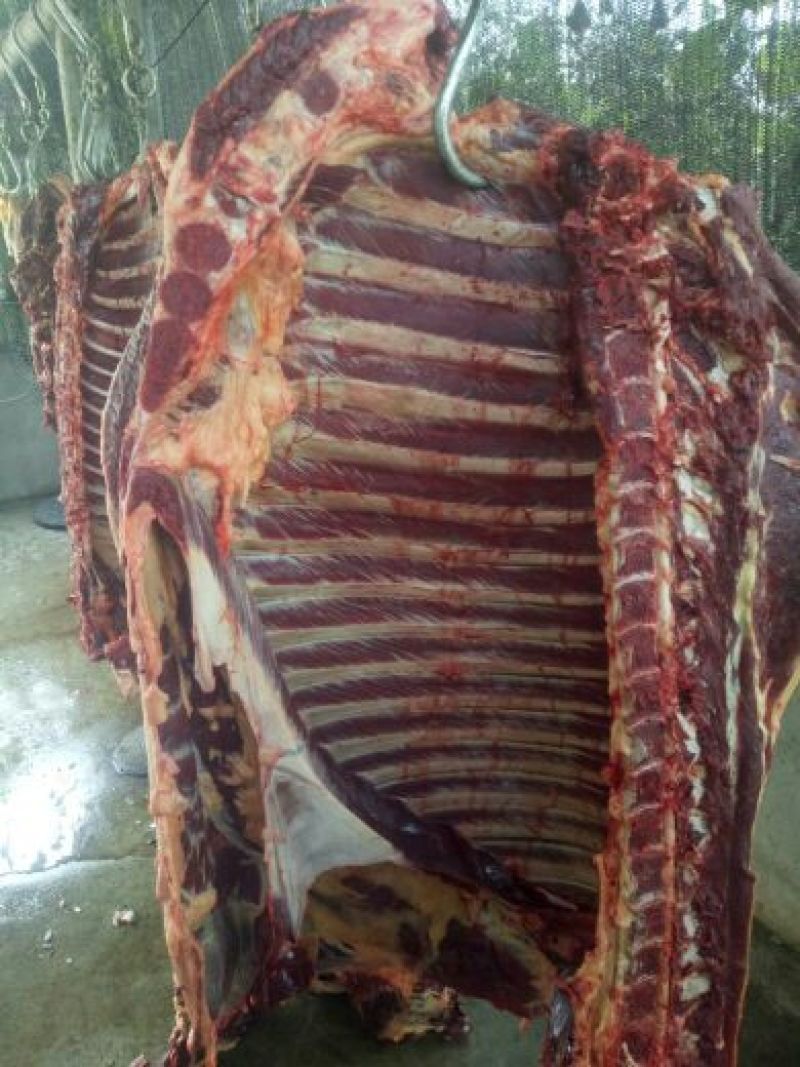 驴肉鲜货