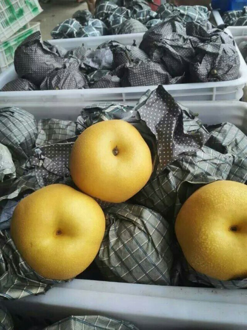 鸭梨200~250g纸加膜