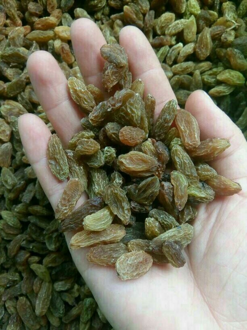 葡萄干无核一级新疆葡萄干量大从优商超直供