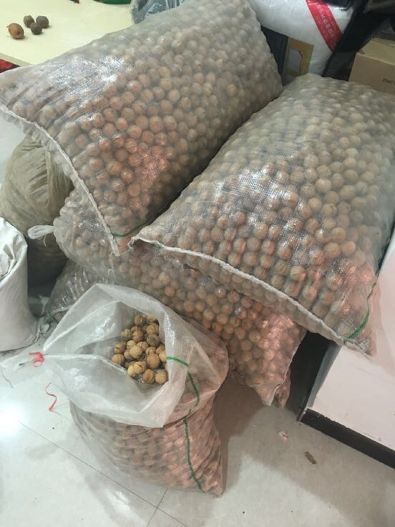 薄皮核桃