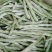 白芸豆，白不老18cm以上，九粒白芸豆大量供应中
