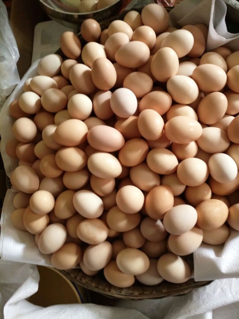 土鸡蛋食用50~60g