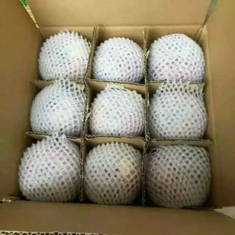 蒲城酥梨400~450g纸袋