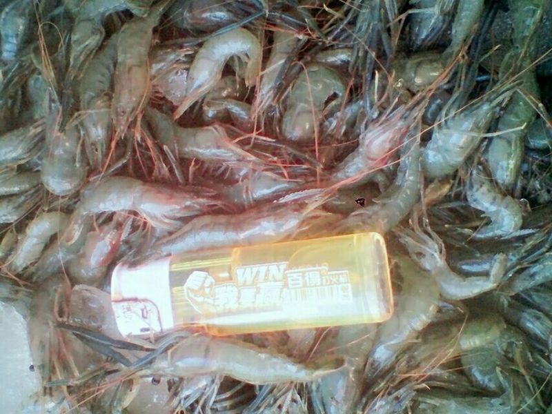 河虾活虾21~25只/kg