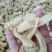 豆皮干