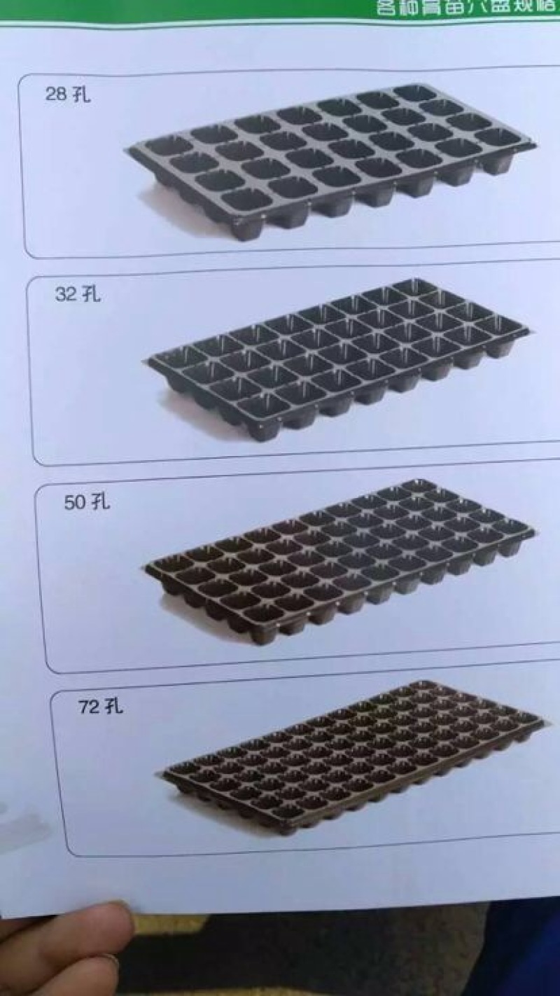 穴盘