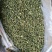 杭州白菊散装