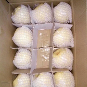 酥梨纸箱150~200g