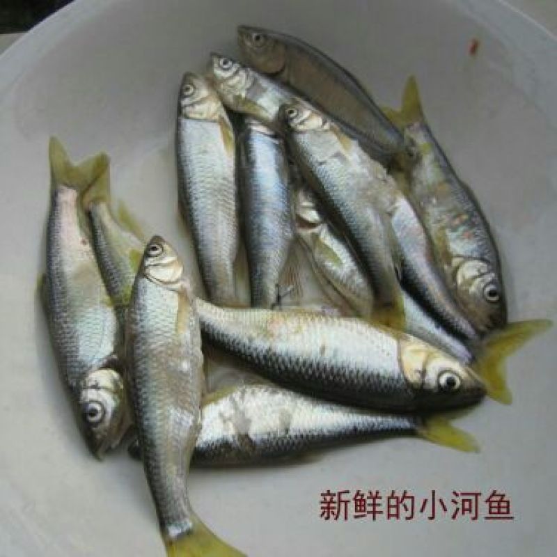 火焙鱼盐焗味（微辣）