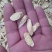 黄芪切片0.5~2.5cm