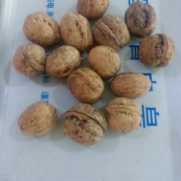 薄皮核桃30mm以上去皮