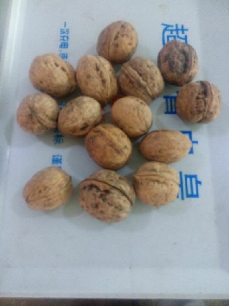 薄皮核桃30mm以上去皮