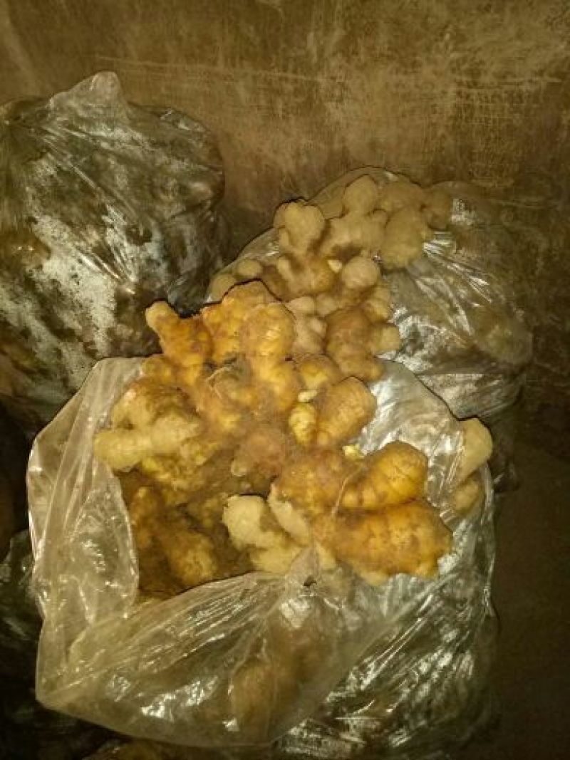 生姜，大黄姜，小姜山东生姜，生姜价格一手货源价优