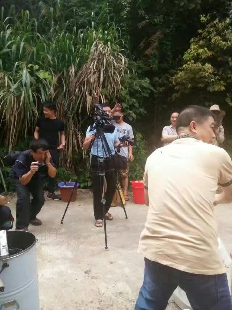蜂蜜