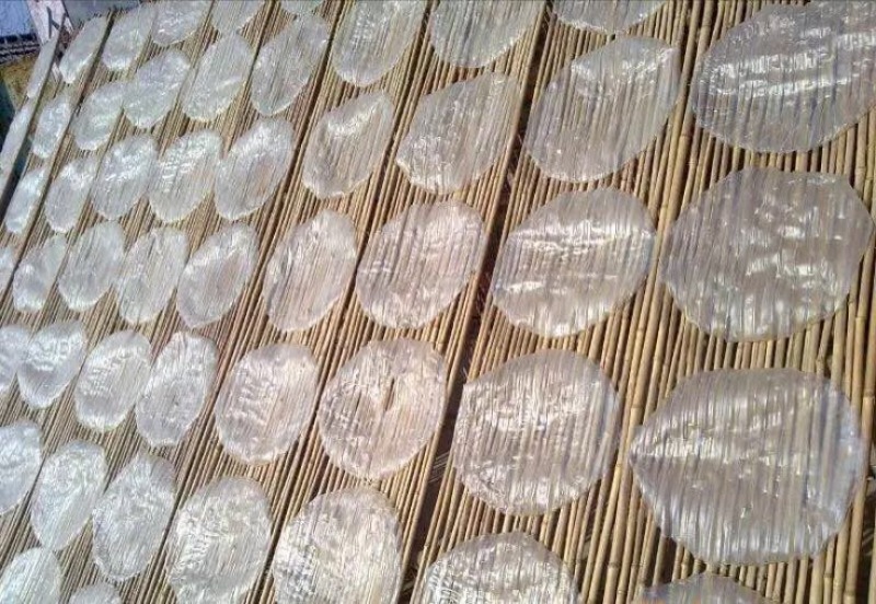 红薯粉皮
