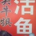 河鲤鱼食用1~2公斤