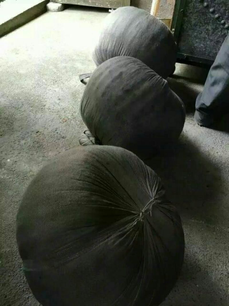 观音茶一级