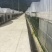 以色列西红柿