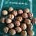 薄皮核桃去皮干
