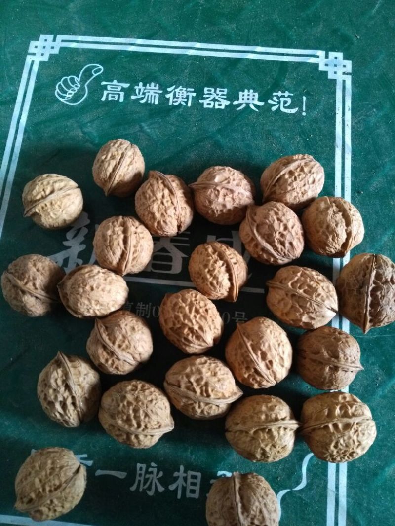 薄皮核桃去皮干