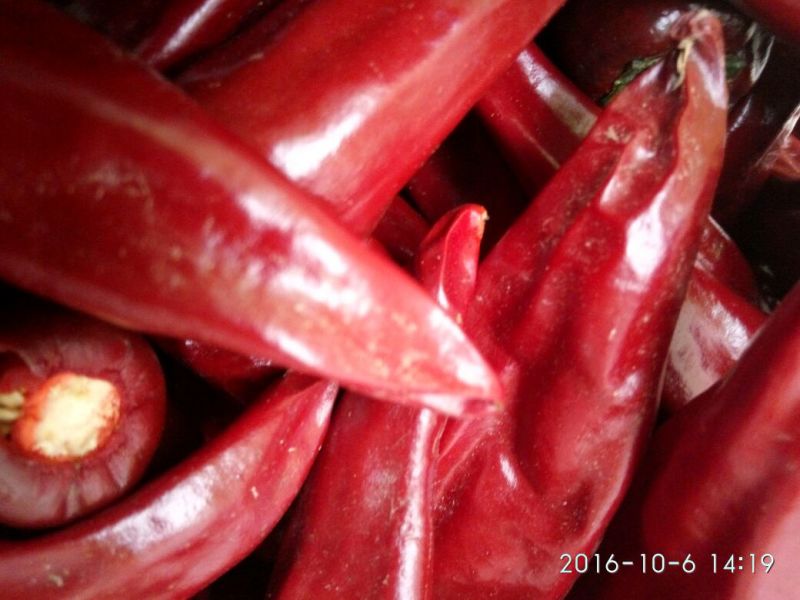 山西忻州优质北京红辣椒热销中，品质好，量大。