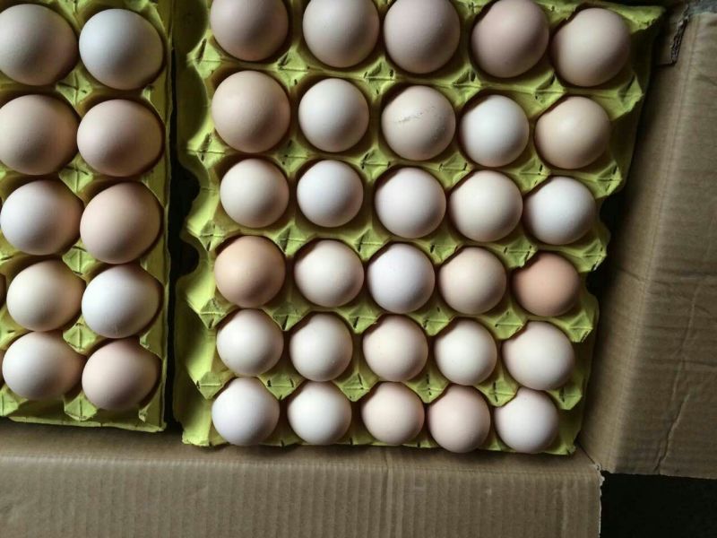 粉蛋食用50g以下