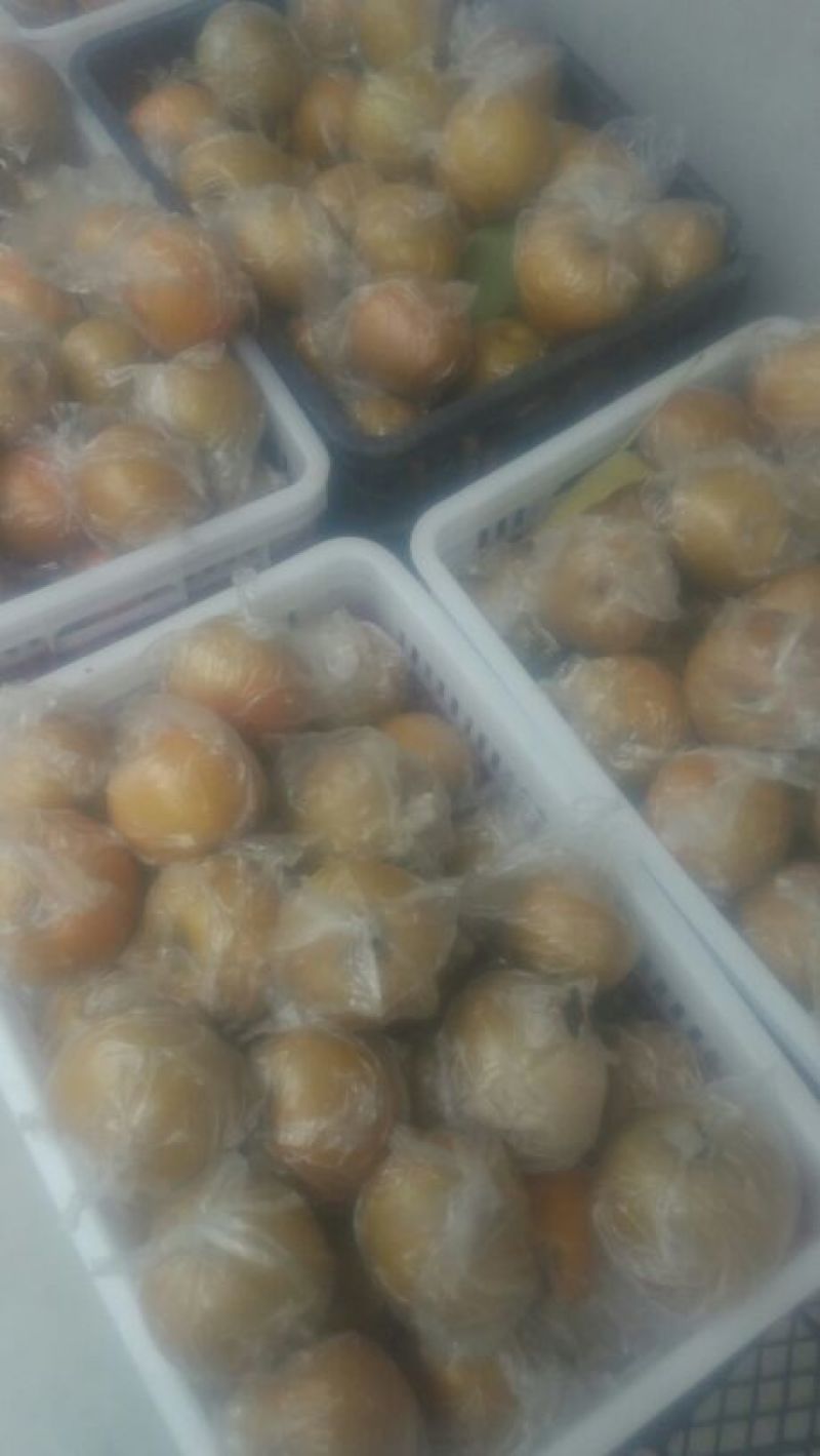 晚秋黄梨无公害绿色食品
