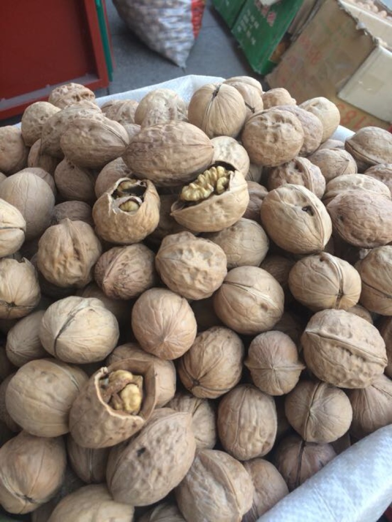 新疆核桃