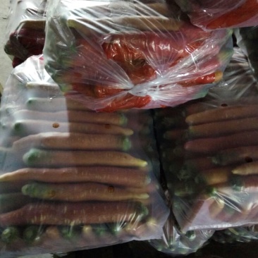 红皮萝卜0.2~1斤起