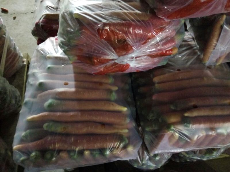 红皮萝卜0.2~1斤起