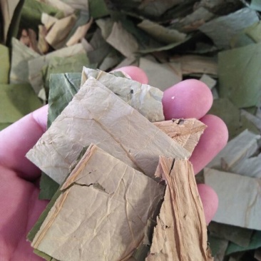 荷叶统货20cm以下
