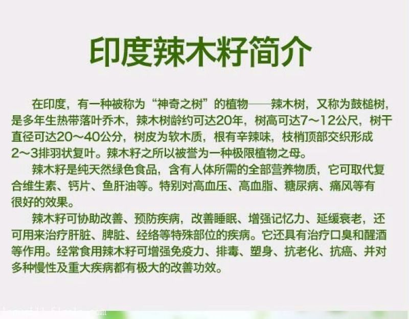 辣木籽
