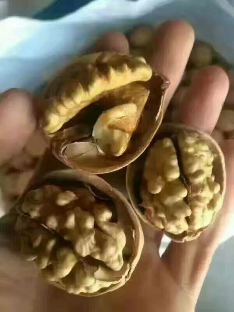 薄皮核桃去皮干
