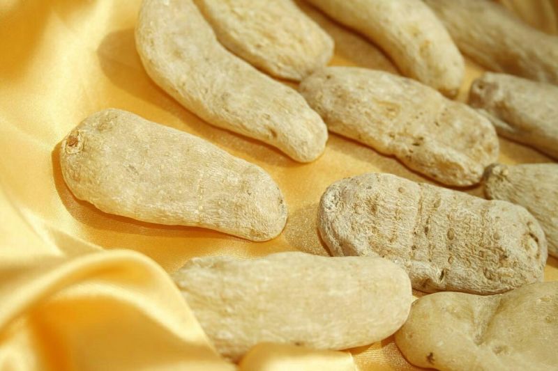 天麻野统