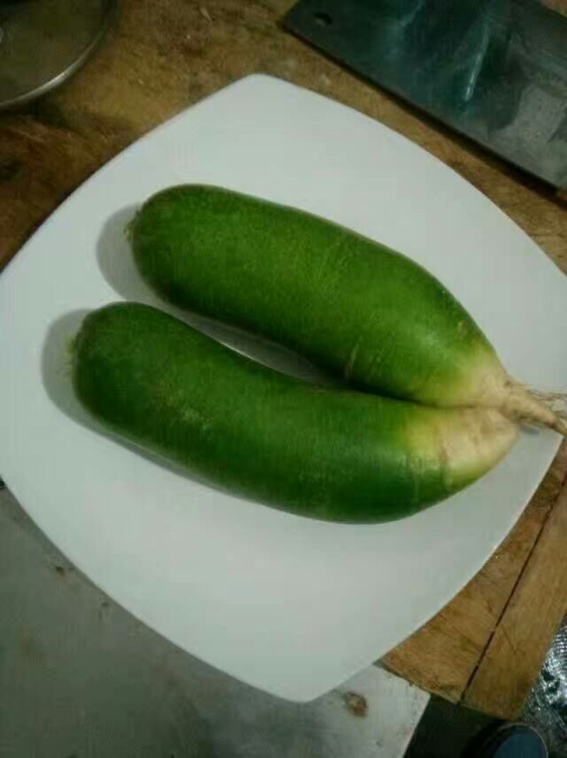 青萝卜