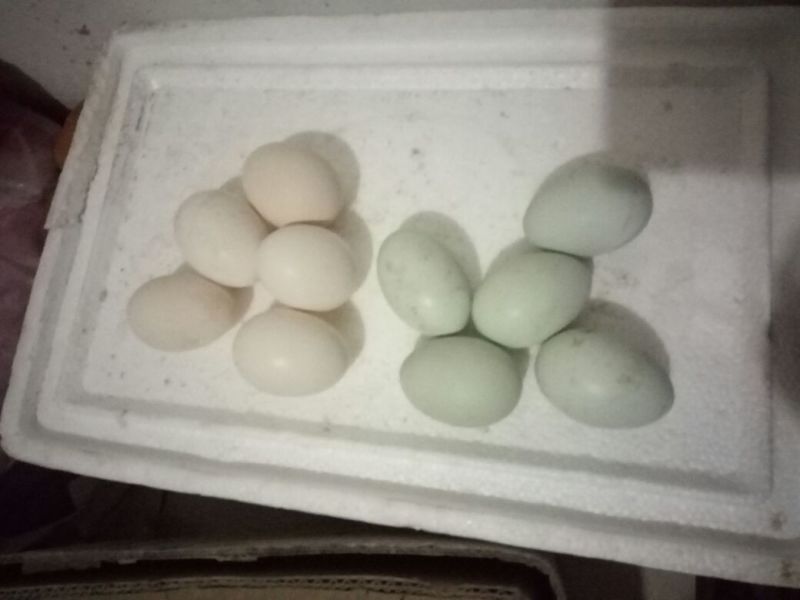 土鸡蛋食用50g以下