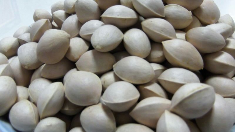 银杏果，银杏种子，白果种子，白果