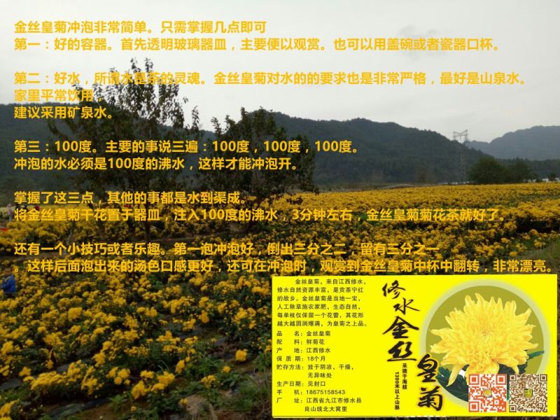 菊花茶