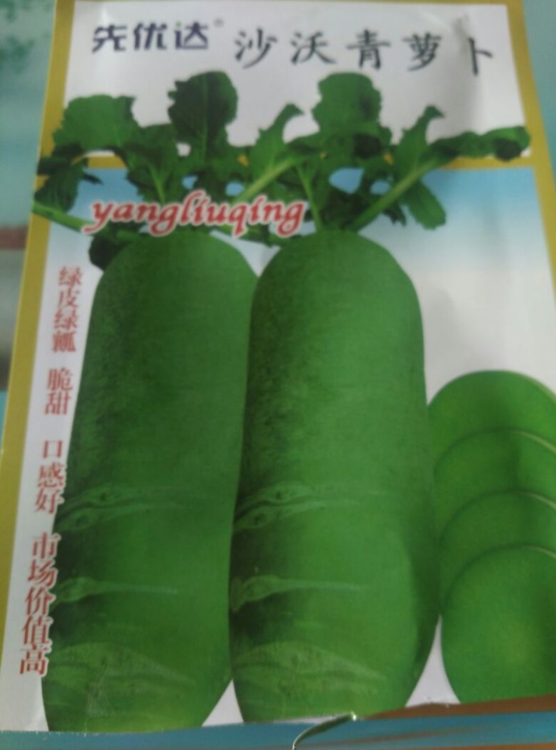 沙窝水果萝卜1~1.5斤起