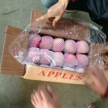 下架山东苹果产地红富士苹果大量上市批发货源充足