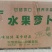 山东平阴精品萝卜青萝卜水果萝卜一手货源