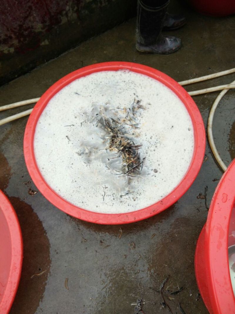蕨根淀粉袋装