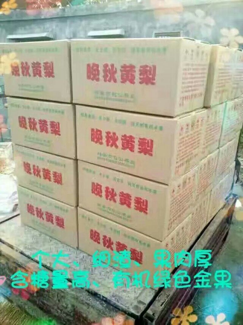 沙澧特晚秋黄梨350~400g纸箱
