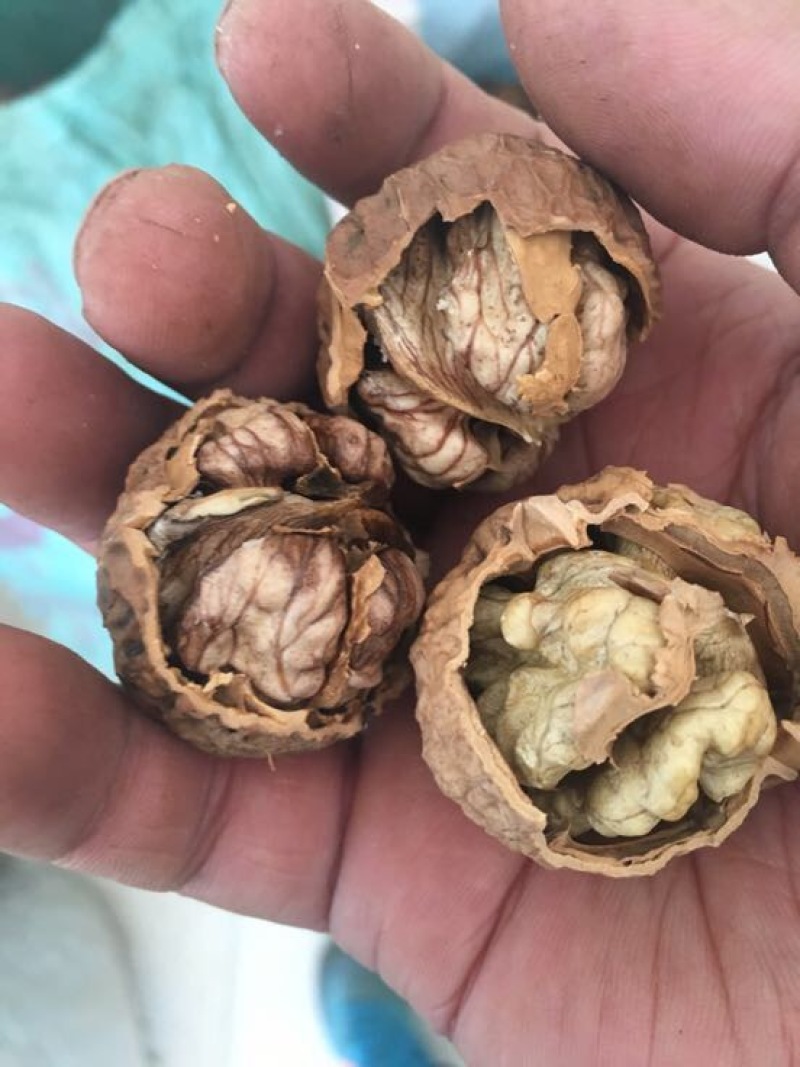 薄皮核桃30mm以上去皮干