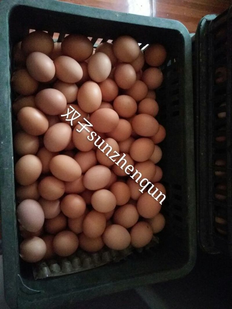 普通鸡蛋食用50g以下